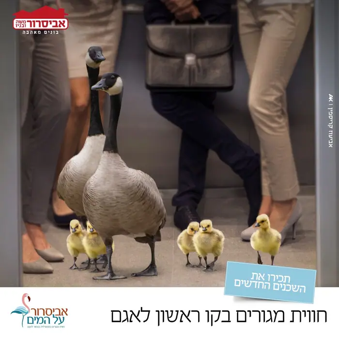 מודעה לדיגיטל – נדל״ן